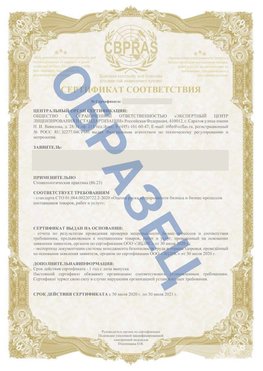 Образец Сертификат СТО 01.064.00220722.2-2020 Медвежьегорск Сертификат СТО 01.064.00220722.2-2020 