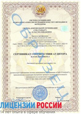 Образец сертификата соответствия аудитора №ST.RU.EXP.00006191-3 Медвежьегорск Сертификат ISO 50001